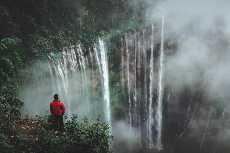 Wyzwania Polskich Przedsiębiorców w Kontekście ESG