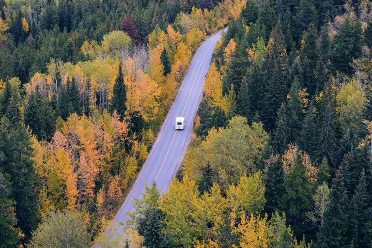 Skąd Czerpać Wiedzę o ESG? Przewodnik dla Polskich Przedsiębiorców